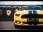 FORD Mustang GT 5.0 V8 421ch BVA - Ecotaxe pay&eacute;e !